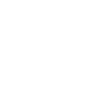 Analizamos icono